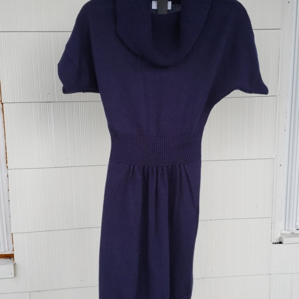 Ann Taylor Sweater Dress